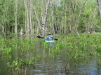 IMG 4656